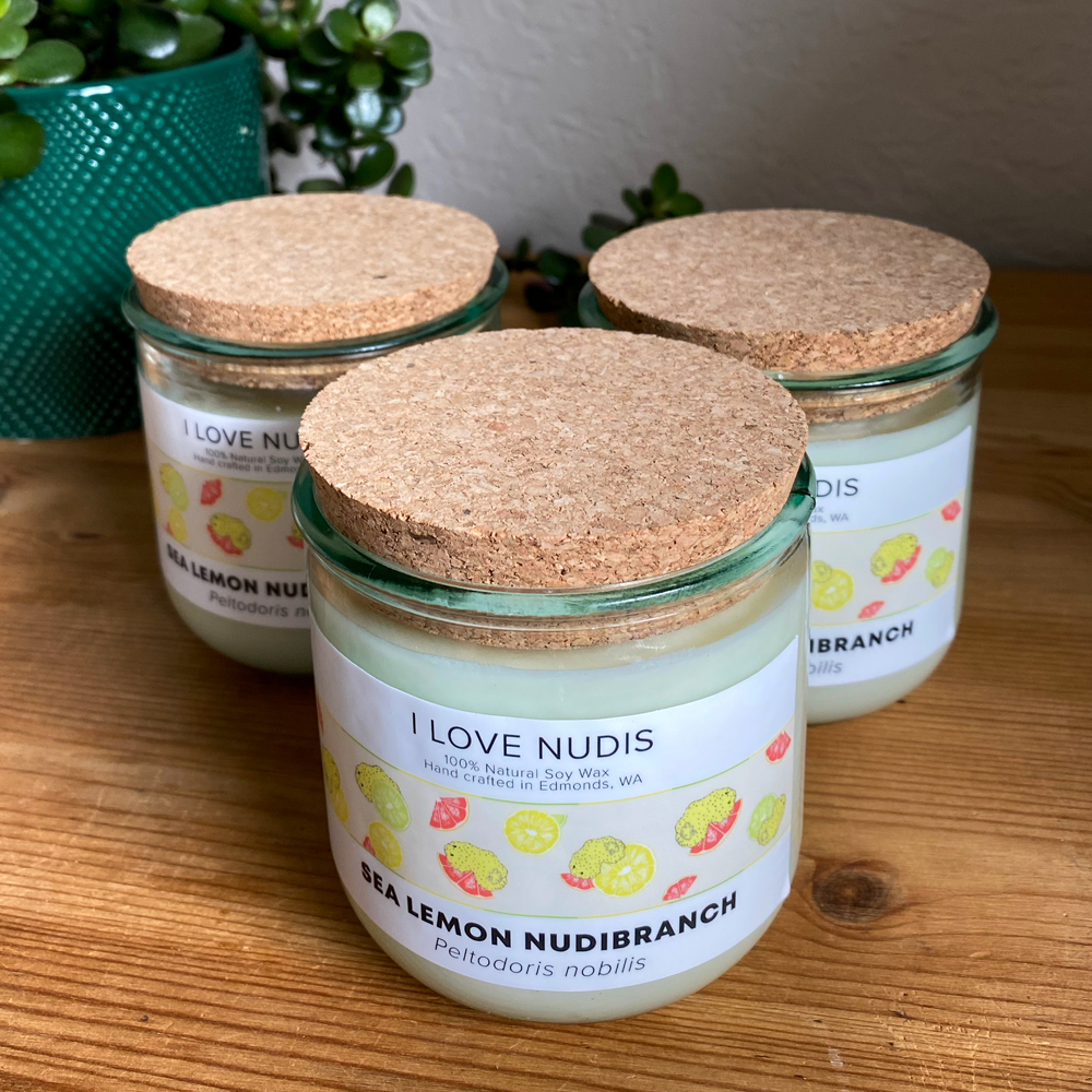 I LOVE NUDIS - Wholesale Jar/Filled Candle - Sea Lemon Nudibranch Candle in Recycled Glass3