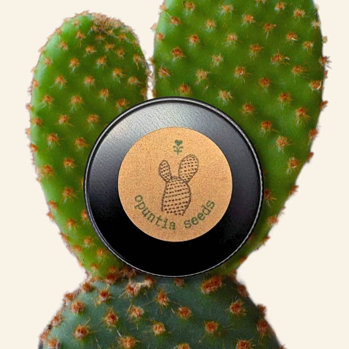 Cactus Seed Gift Tins for wholesale by Plantflix