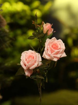 Spray de rose thé hybride rose clair artificiel pour la vente par Mezu Silk Flowers