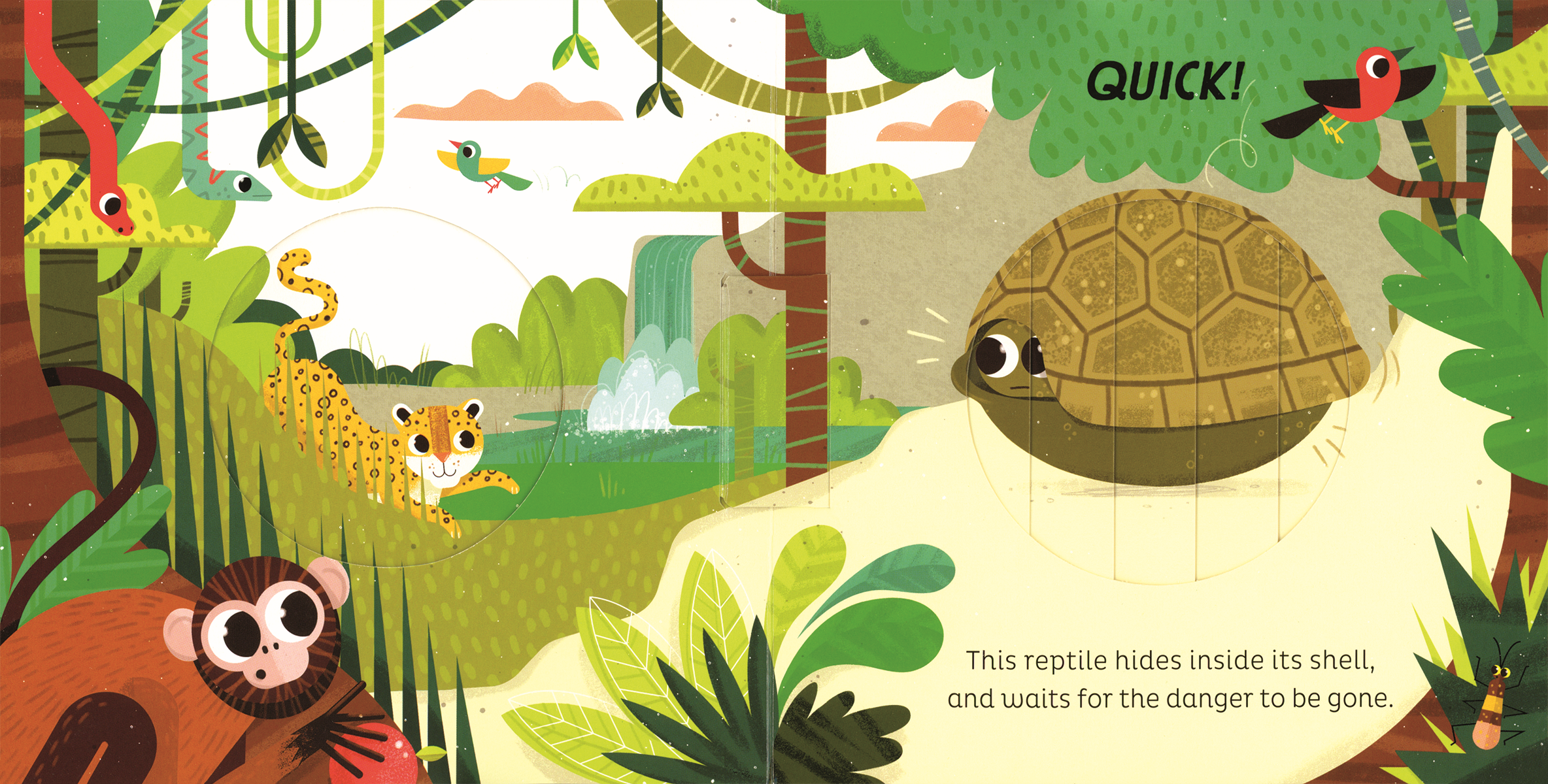 EDC Publishing - Wholesale Preschool Book (3-5) - Animal Magic: In the Jungle4