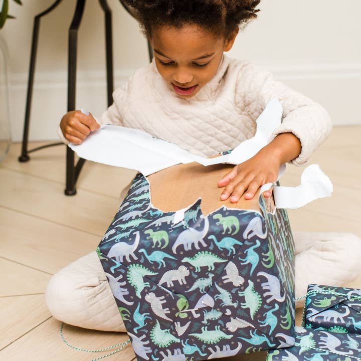 Curlicue - Wholesale Inpakpapier - Dino-Roars Inpakpapier - duurzaam en milieuvriendelijk4