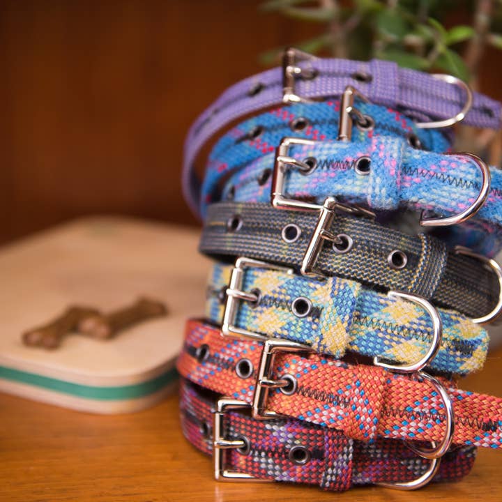 Scavenger - Wholesale Pet Collar - Dog - Dog Collar