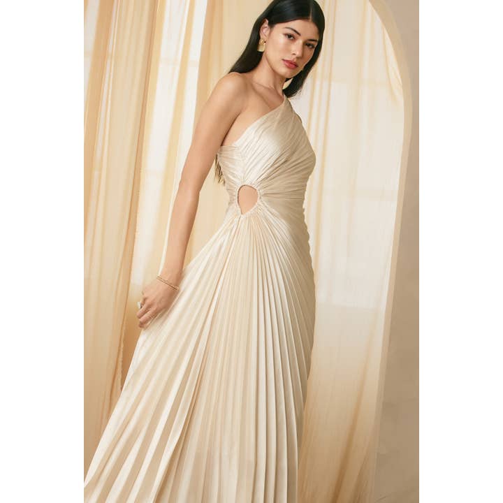 Dress Forum - Wholesale Dress - Women's - Olympia Asymmetrical Pleated Maxi Dress42