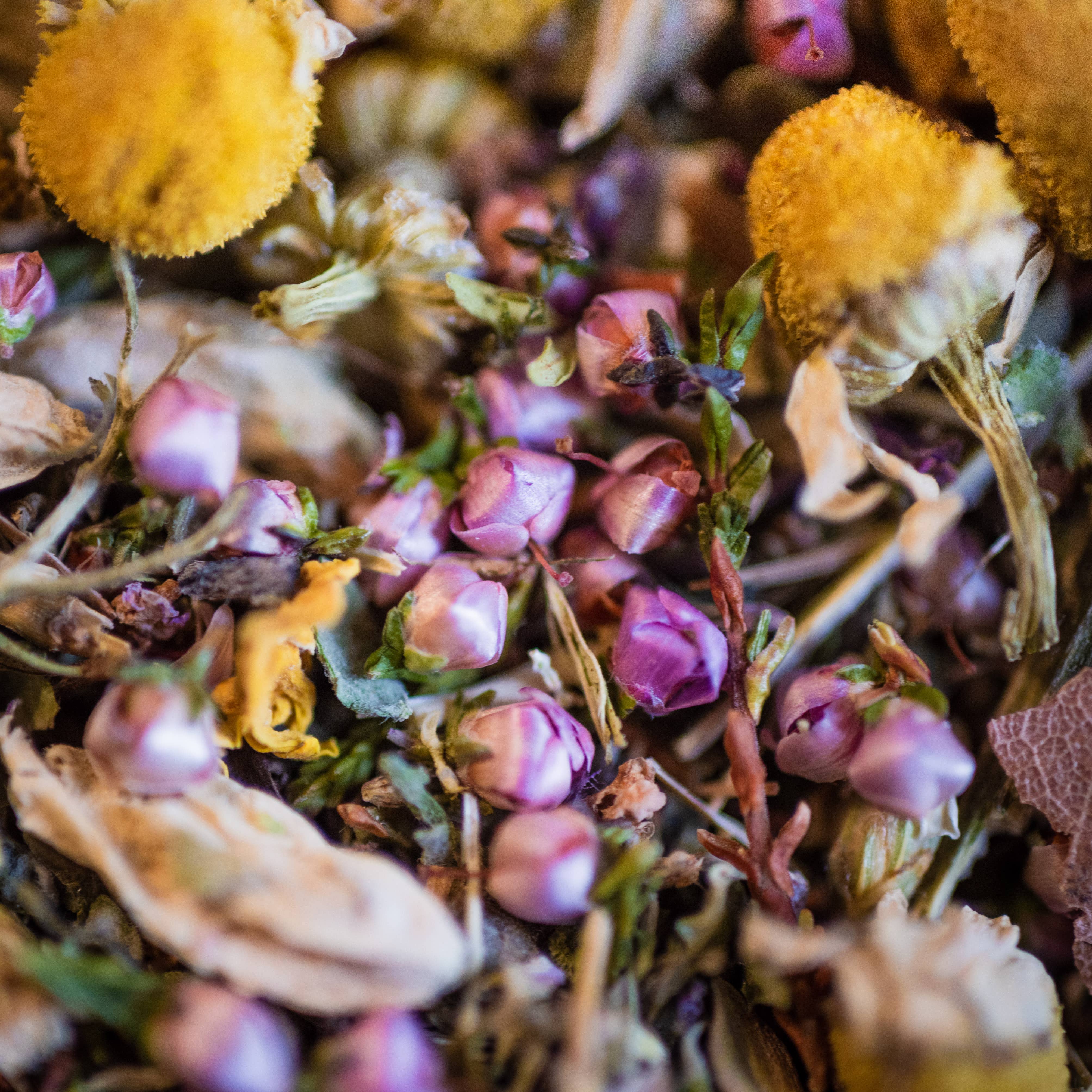 LE COMPTOIR D'HERBORISTERIE - Wholesale Health/Detox Tea - ORGANIC RELAXATION HERBAL TEA 50G1