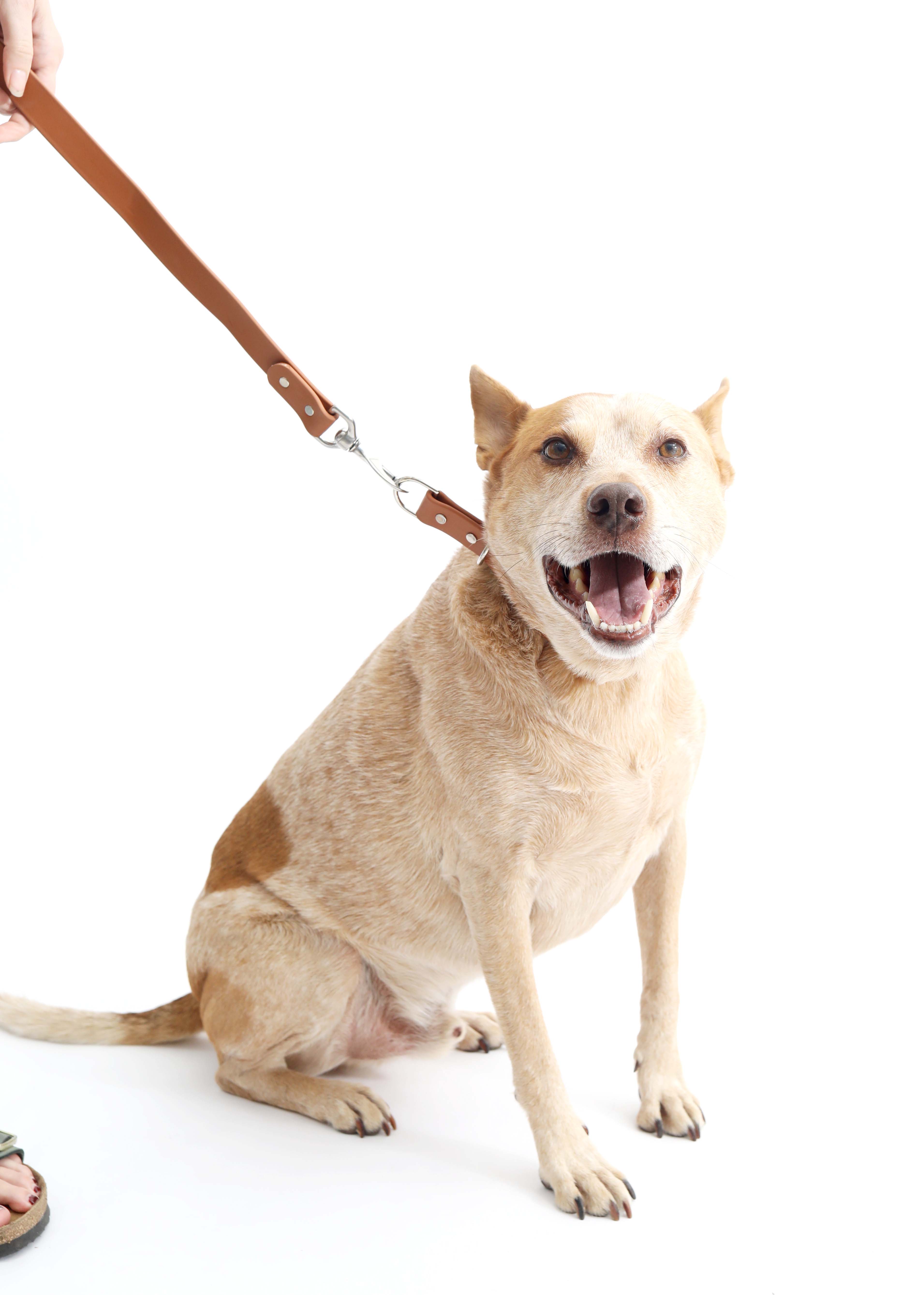 Mimi Green - Wholesale Pet Collar - Dog - Waterproof Biothane Slip Dog Collar - Two Tone8