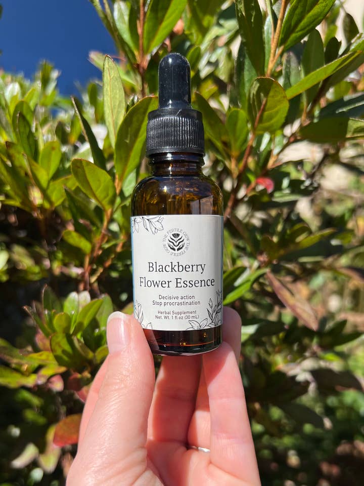 Essence de fleur de mûre pour la vente par The Fertile Glow