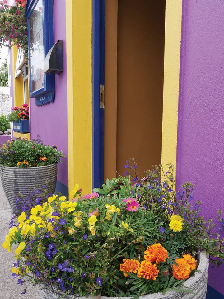 Q211 - Welcome Blooms for wholesale by Stonehenge Designs