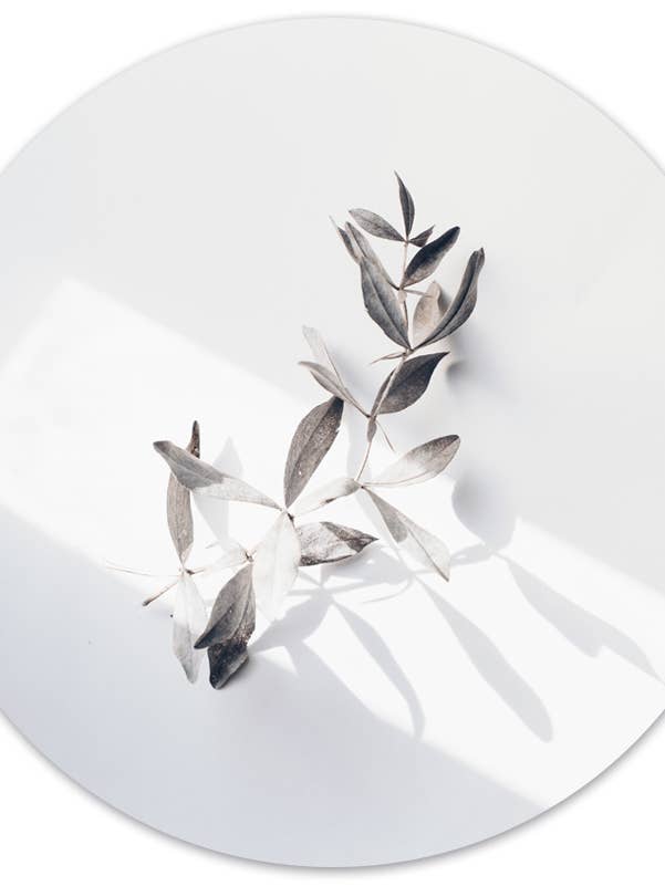 Muurcirkel twigly for wholesale by Label2X B.V.