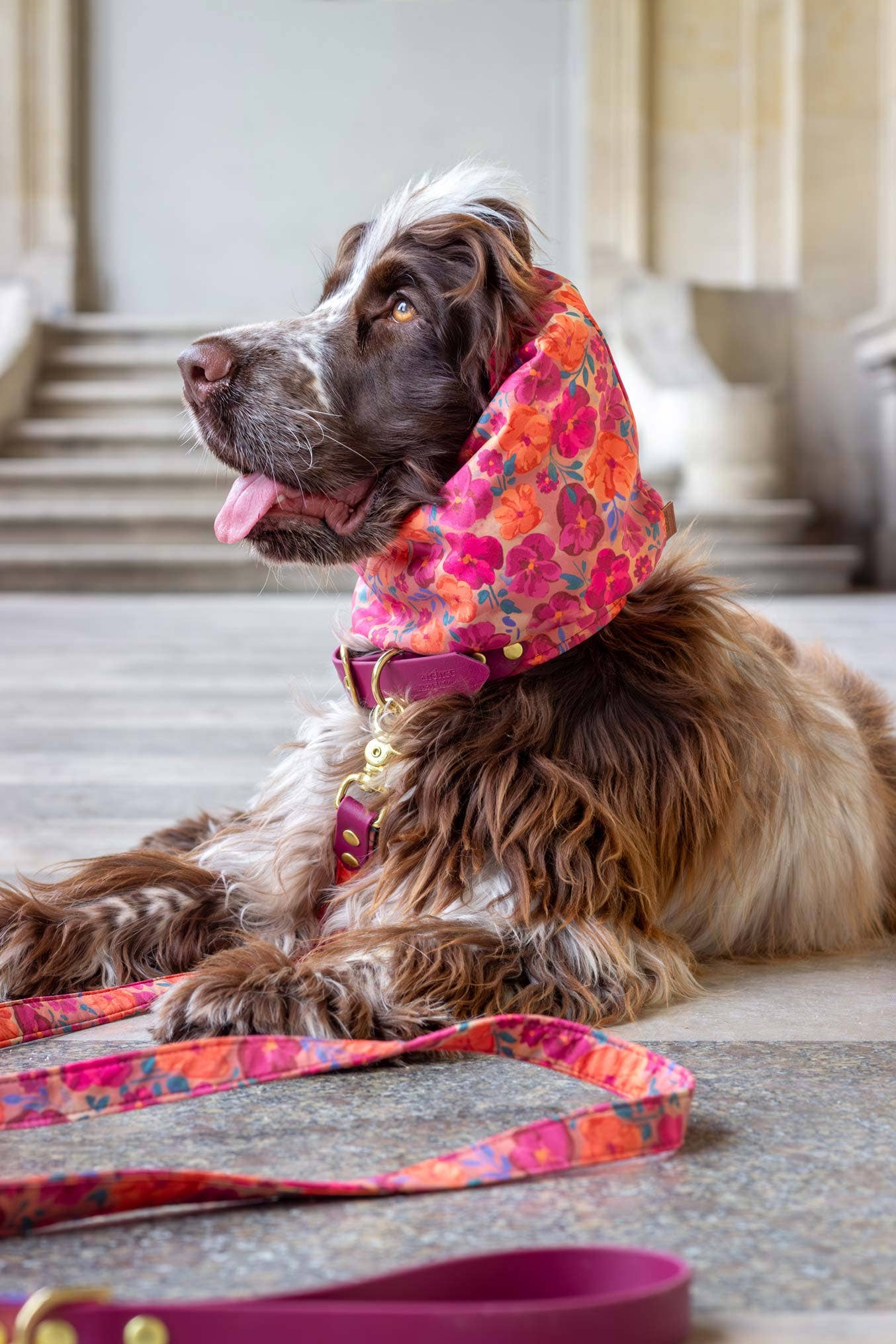 Atelier Markiz - Wholesale Pet Snood - Dog - Snood Bellagio2