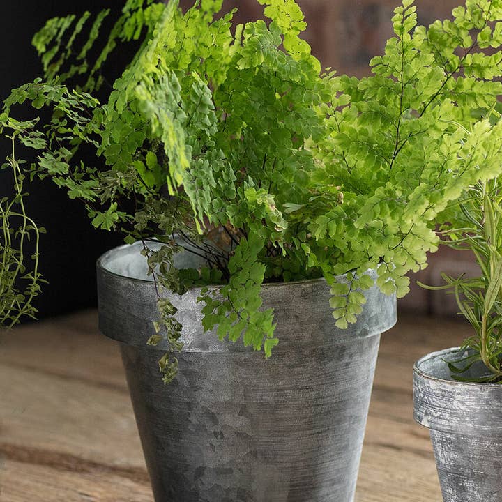 Vagabond Vintage - Wholesale Plant Pot - Zinc Flower Pot - Large