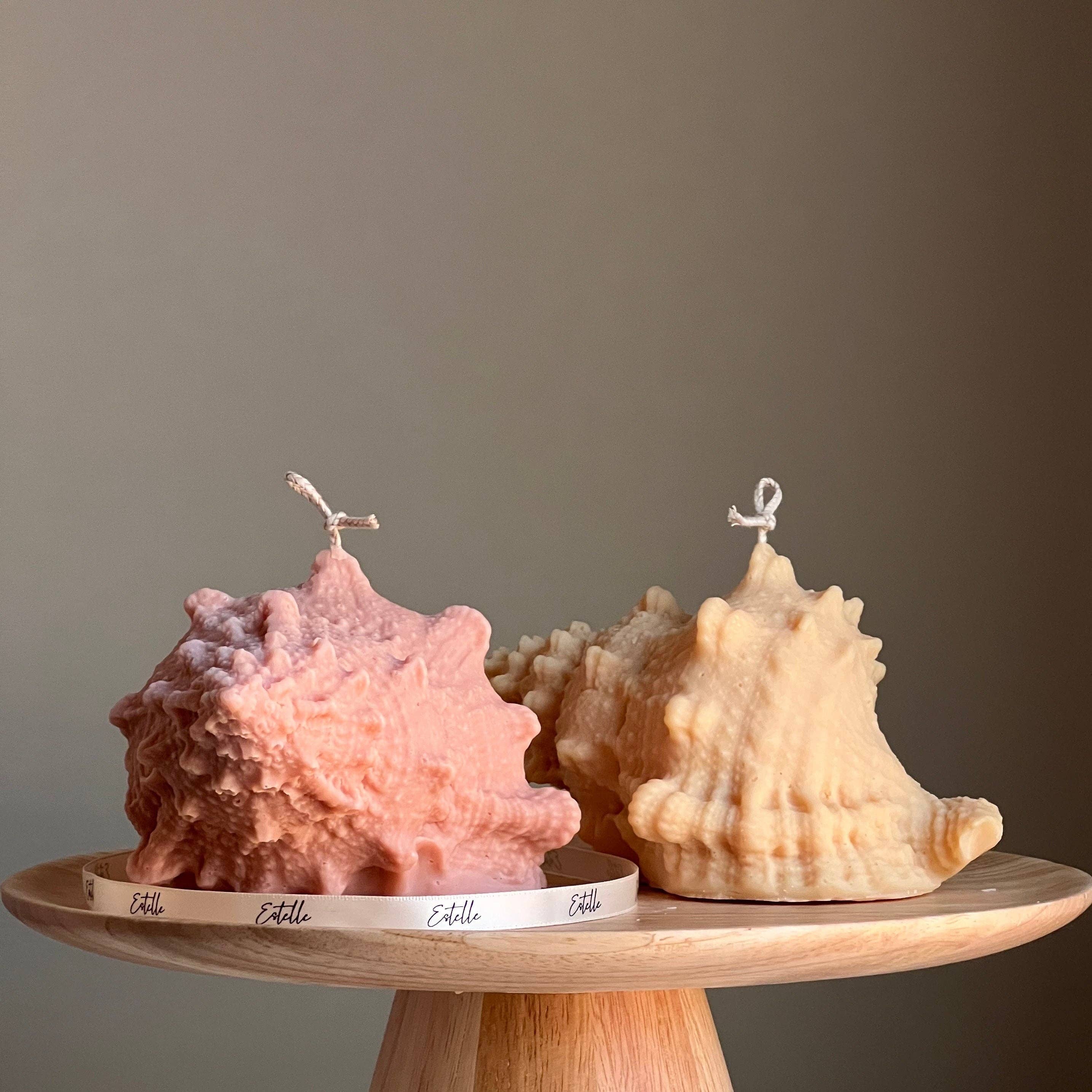 Estelle Studio - Wholesale Novelty Candle - Large Seashell Soy Wax Candle: Unique Home Decor6