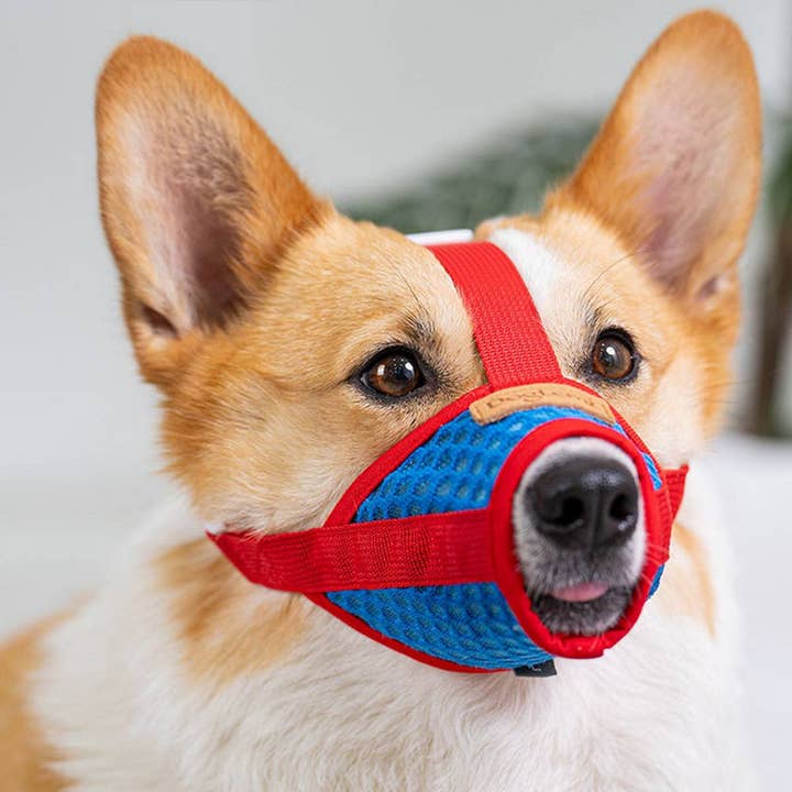 PAWPAWwholesale - Wholesale Pet Muzzle - Mesh Dog Muzzle – Adjustable for Small Dogs_CWMM72632