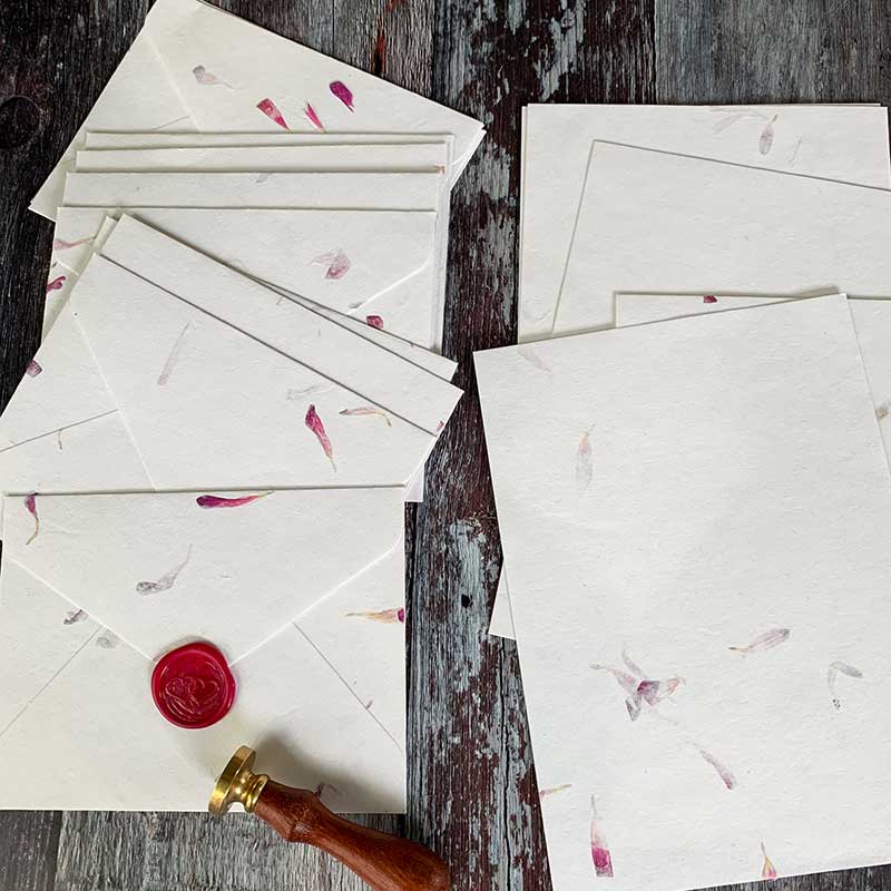 The Natural Paper Company - Wholesale Stationery/Notecard Set - Aster - Floral Handmade Paper and Envelope Set6