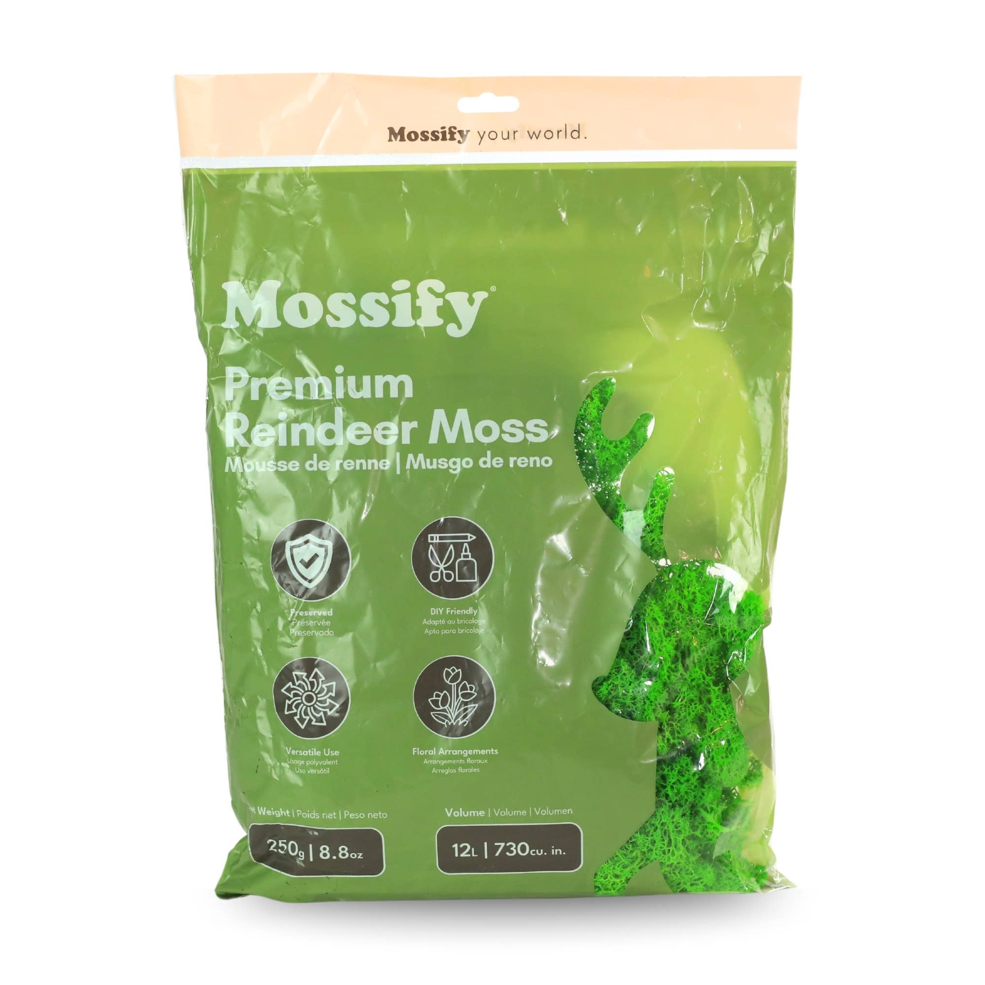Mossify - Wholesale Planting/Potting Soil - Premium Reindeer Moss (100g & 250g)4