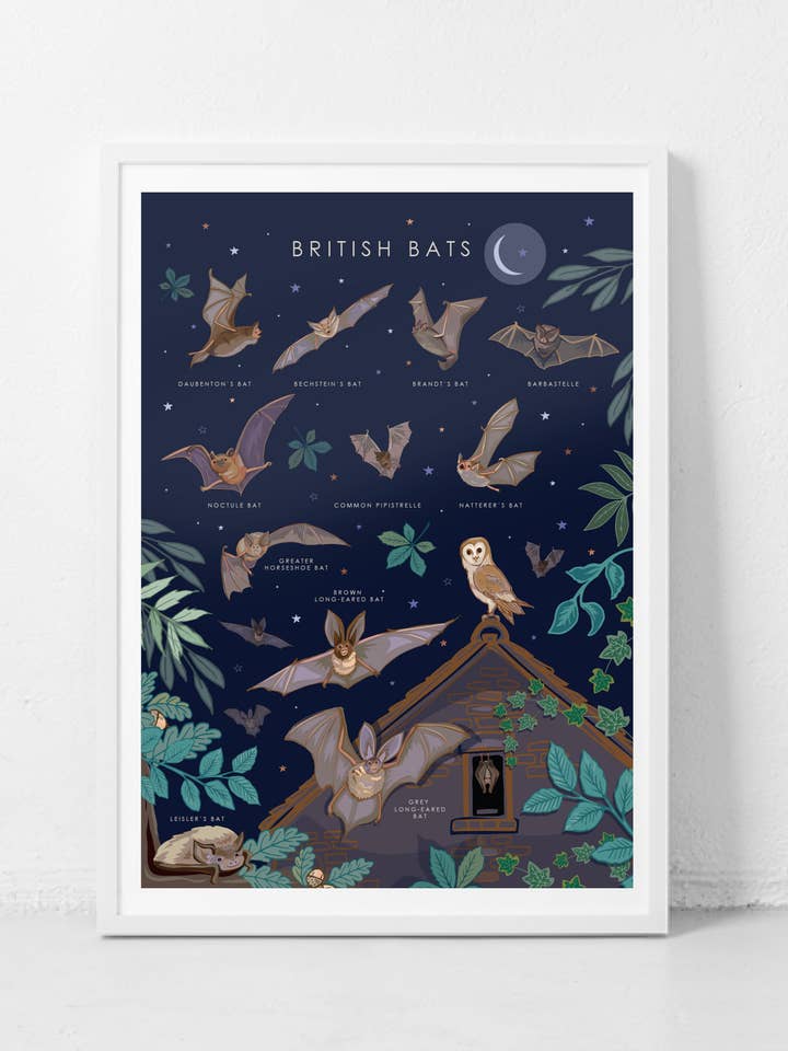 British Bats Wall Art Print A4 Unframed for wholesale by Angie Spurgeon Illustration and Design