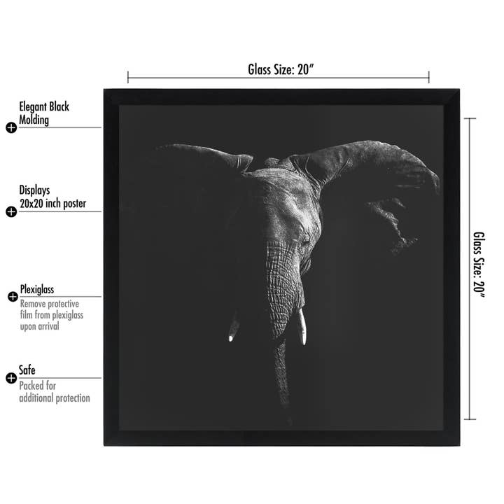 Americanflat - Wholesale Picture Frame - Americanflat Poster Frame with Wide Molding169