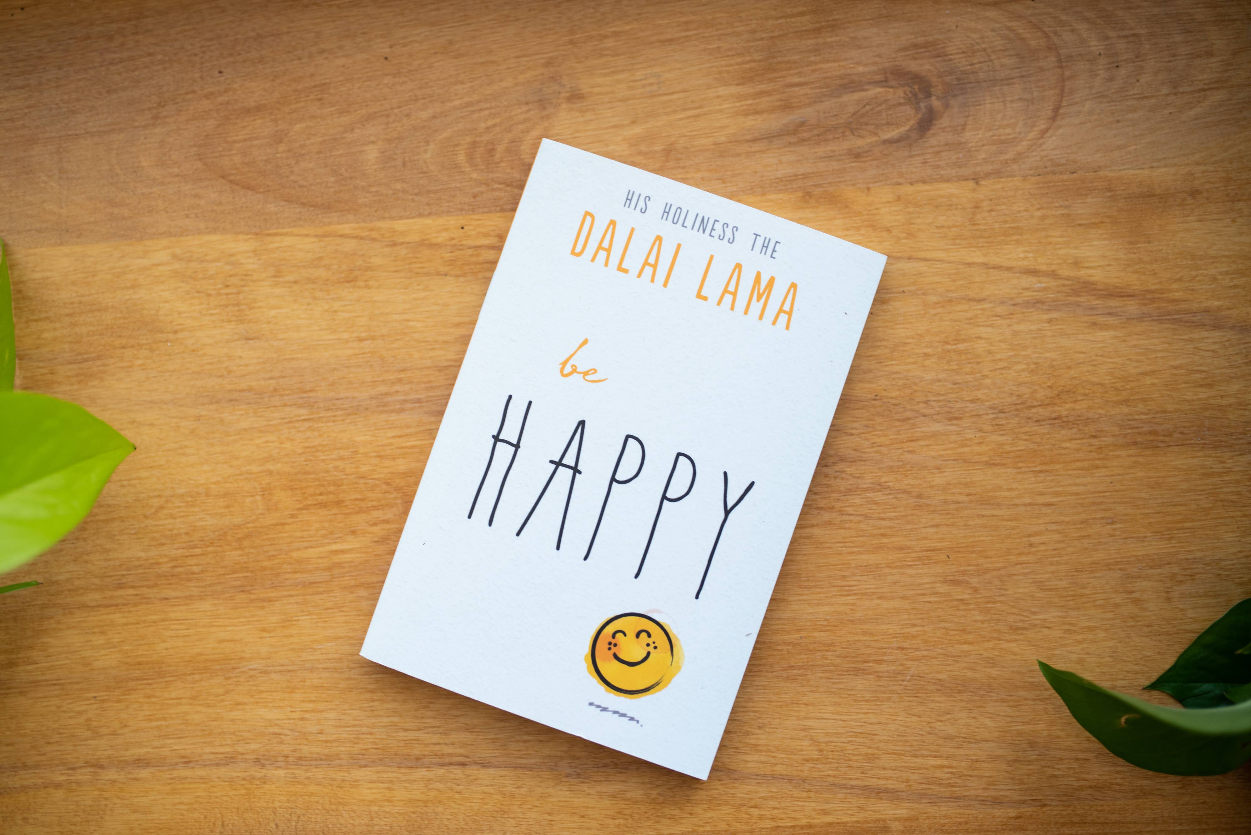 Red Wheel/Weiser LLC - Wholesale Religion Book - Be Here (Part of the Dalai Lama's Be Series)6