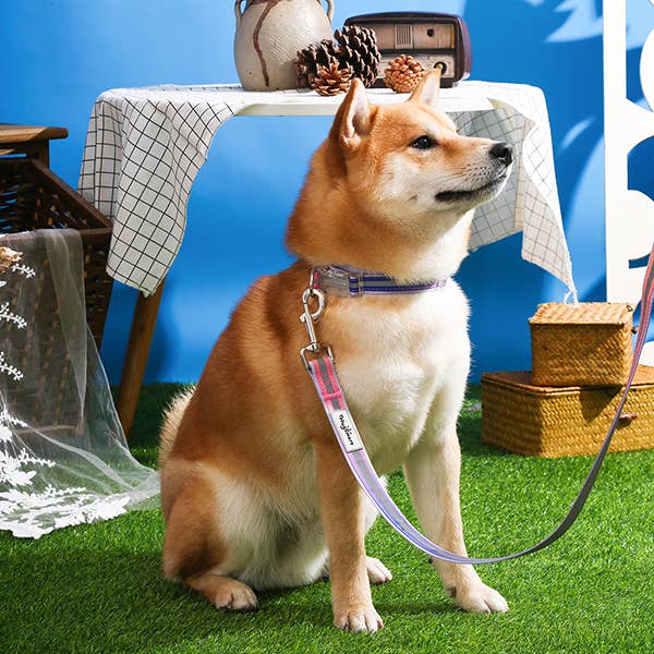 Hugsmart Products Inc - Wholesale Pet Collar - Dog - HugSmart Pet - Dog Collar | Cotton Candy4