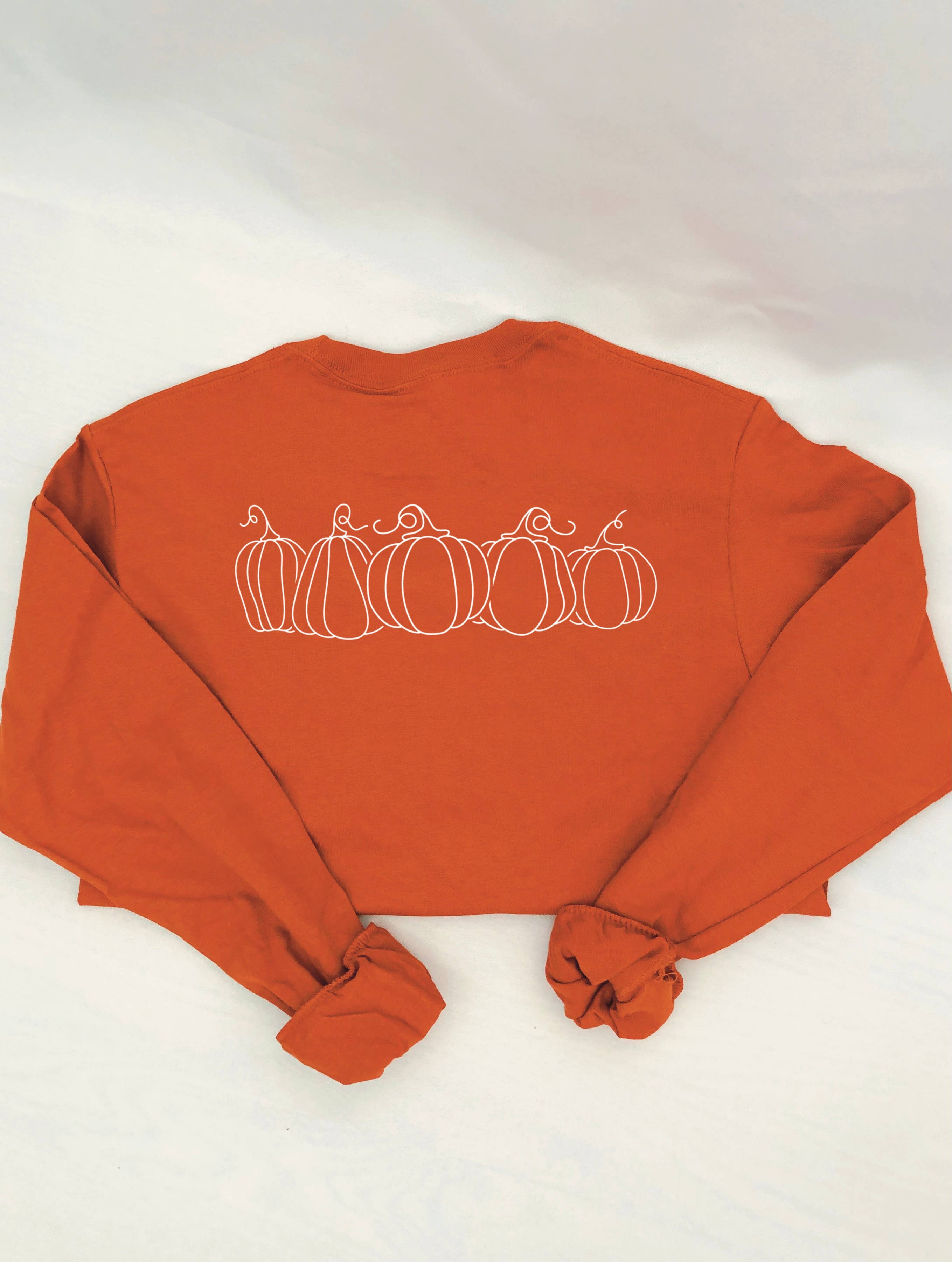 Ellie Jade Co - Wholesale Screen Printed T-Shirt - Women's - Minimalist Pumpkin Long Sleeve Tee1