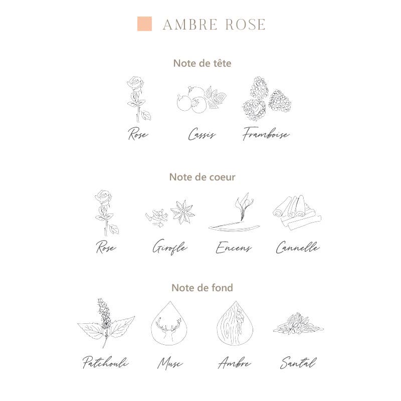 L'ATELIER C - Wholesale Perfume/Eau de Toilette - Body perfumes - x6 Perfumes from Grasse1