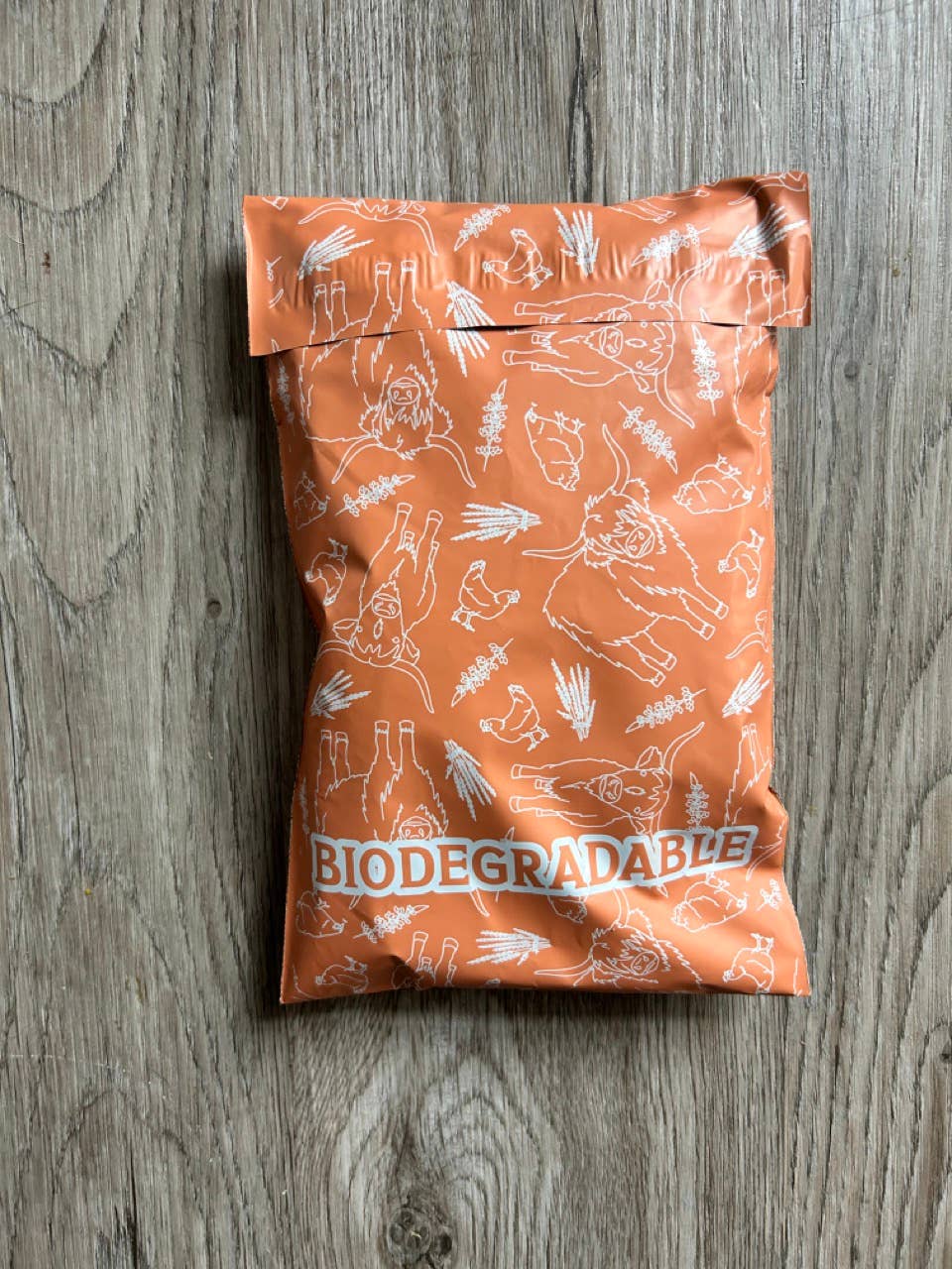 SomeFinn - Wholesale Envelopes - Farm Fresh: 6x9 Mailers with Highland Cows & Chickens 250 ct1