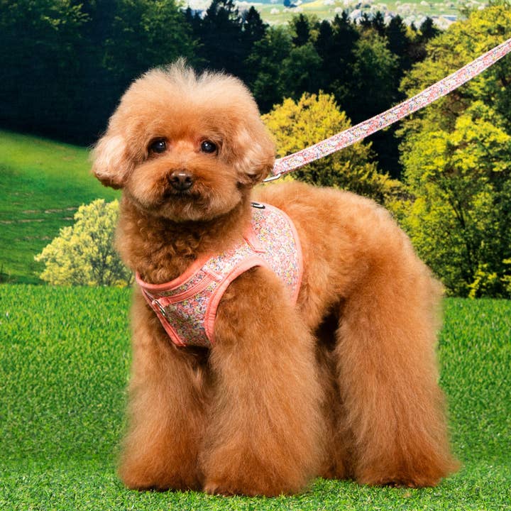 Puppia International Inc. - Wholesale Pet Harness - Dog - KEALOHA STEP IN DOG HARNESS FLORAL