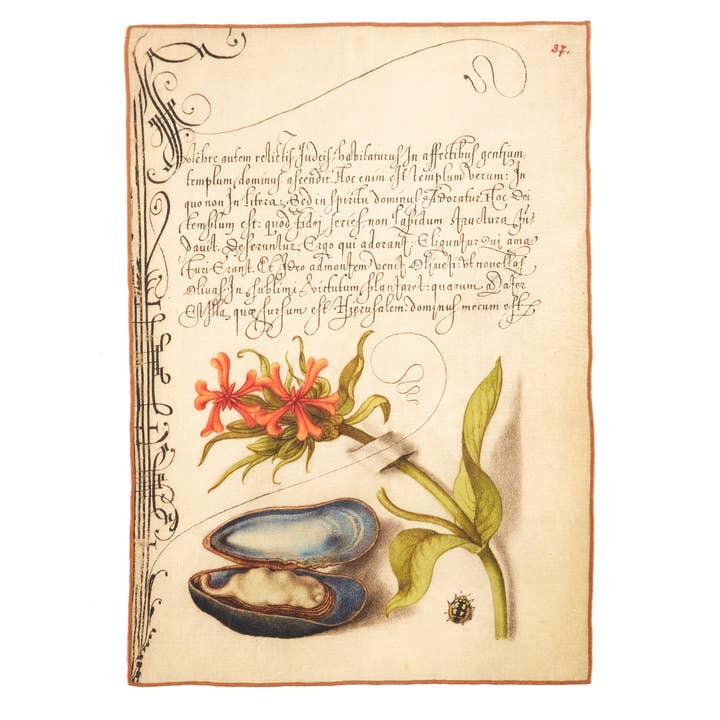 Botanical Mussel Tea Towel for wholesale by Siren Song