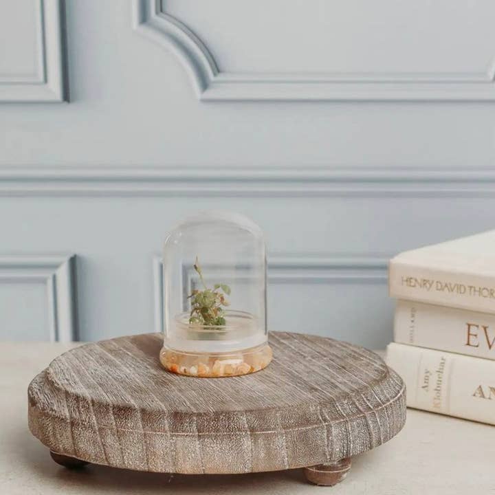 Gia Roma - Vendita all'ingrosso Vassoi decorativi - Decorazione da tavolo, supporto rotondo in legno+vassoio portagioie