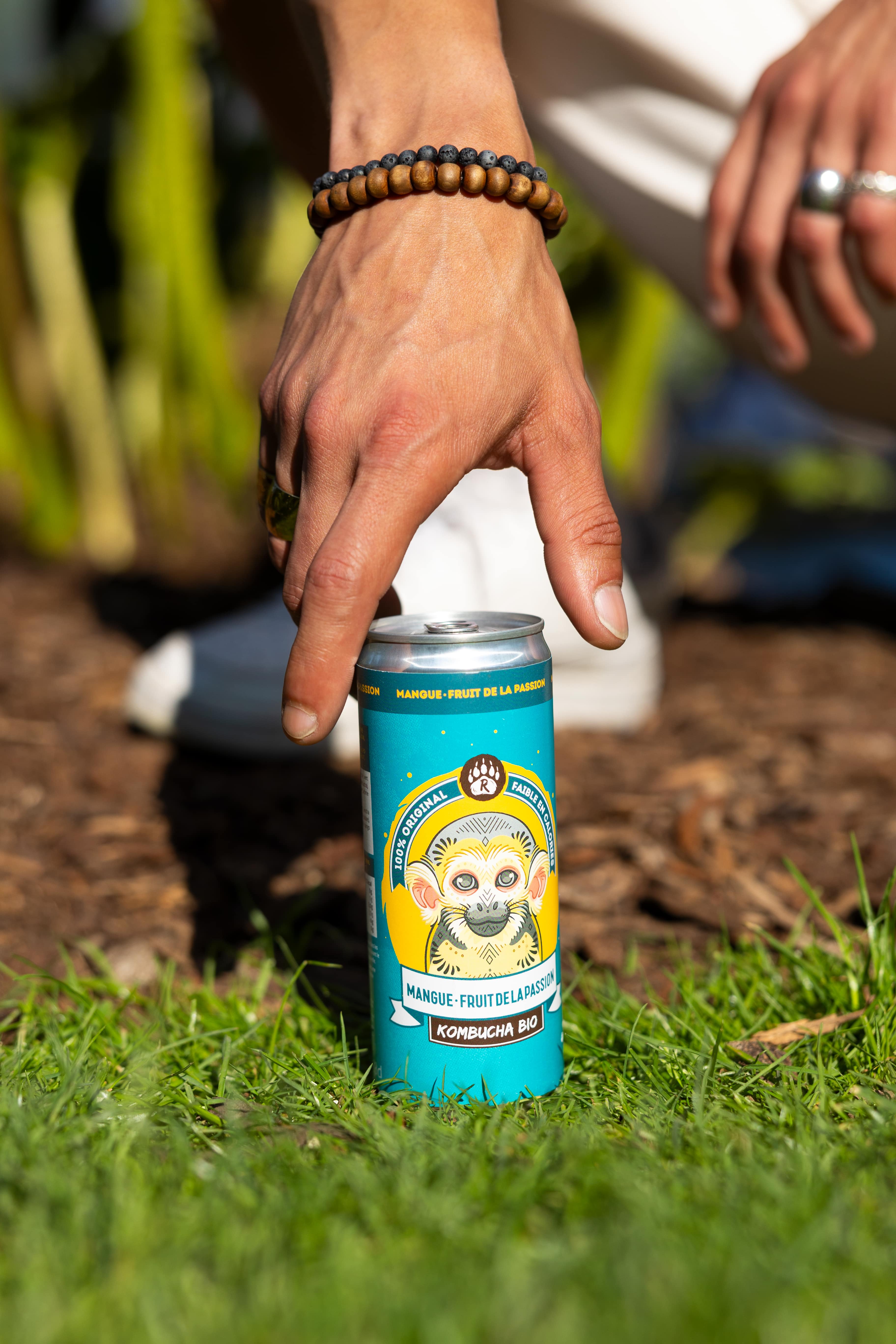 BIO BRASSEURS - Vendita all'ingrosso Kombucha - R-KOMBUCHA - Mango e frutto della passione - Lattina da 33 cl2