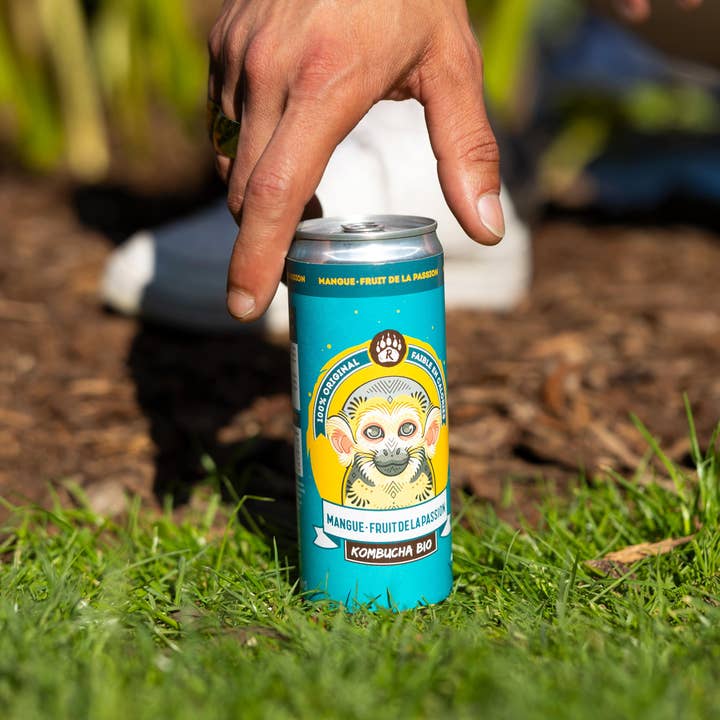 BIO BRASSEURS - Wholesale Kombucha - R-KOMBUCHA - Mango Passion - 33cl Can2