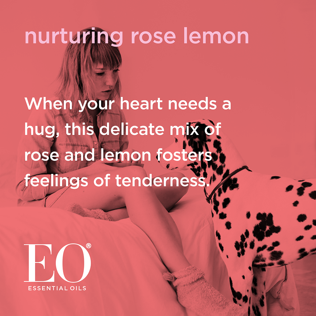 EO + Everyone - Wholesale Deodorant - Unisex - Rose and Lemon Deodorant Spray Case Pack of 244