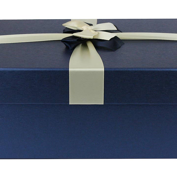 Caixa Azul com Tampa - 29 x 21 x 9 cm por atacado de Emartbuy