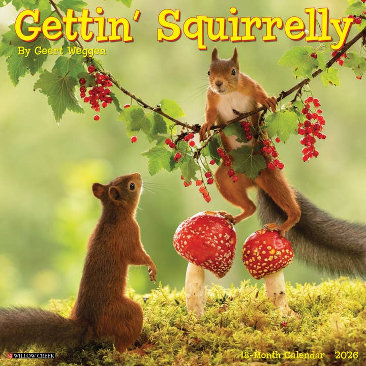 Gettin' Squirrelly 2026 Wall Calendar for wholesale by Willow Creek Press & Gifts