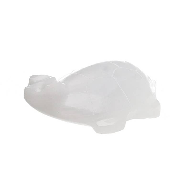 Family of White Calcite Turtles for wholesale by Vives de la Cortada S.L