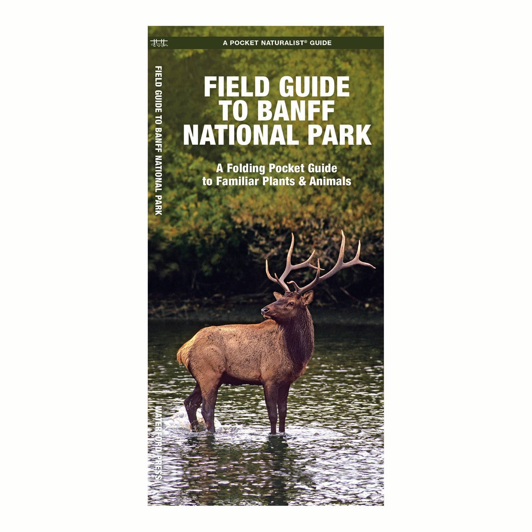 REMOVED BRAND - Wholesale Nature & Outdoors - Field Guide to Banff National Park0