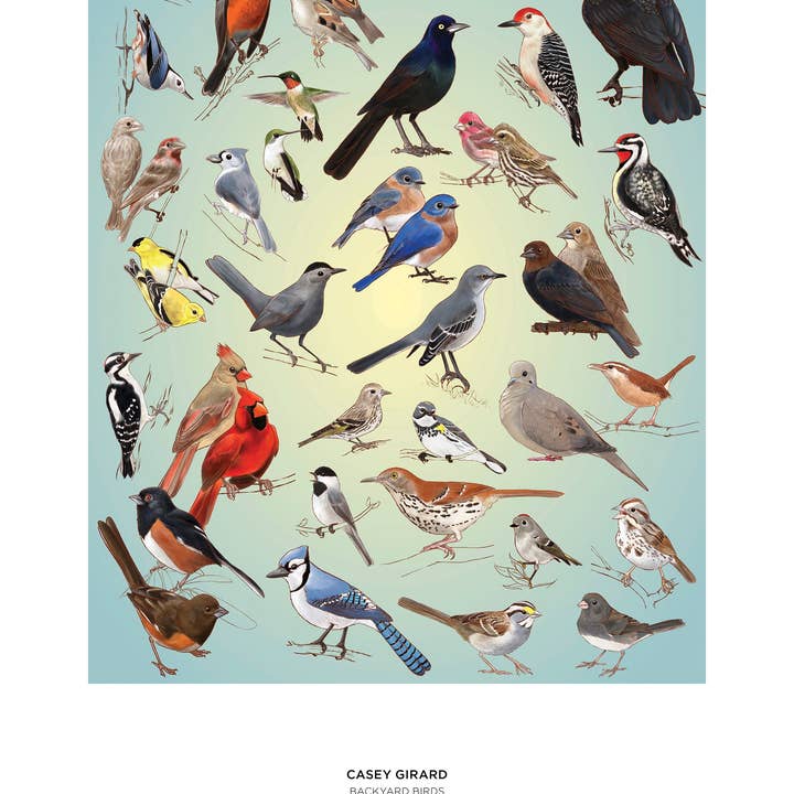 Pomegranate - Wholesale Puzzle - Adult - Casey Girard: Backyard Birds 1000-Piece Jigsaw Puzzle2