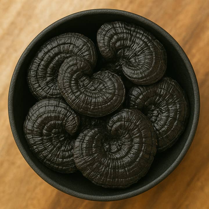 Reishi Noir Entier (Ganoderma Lucidum) pour la vente par LA Herb