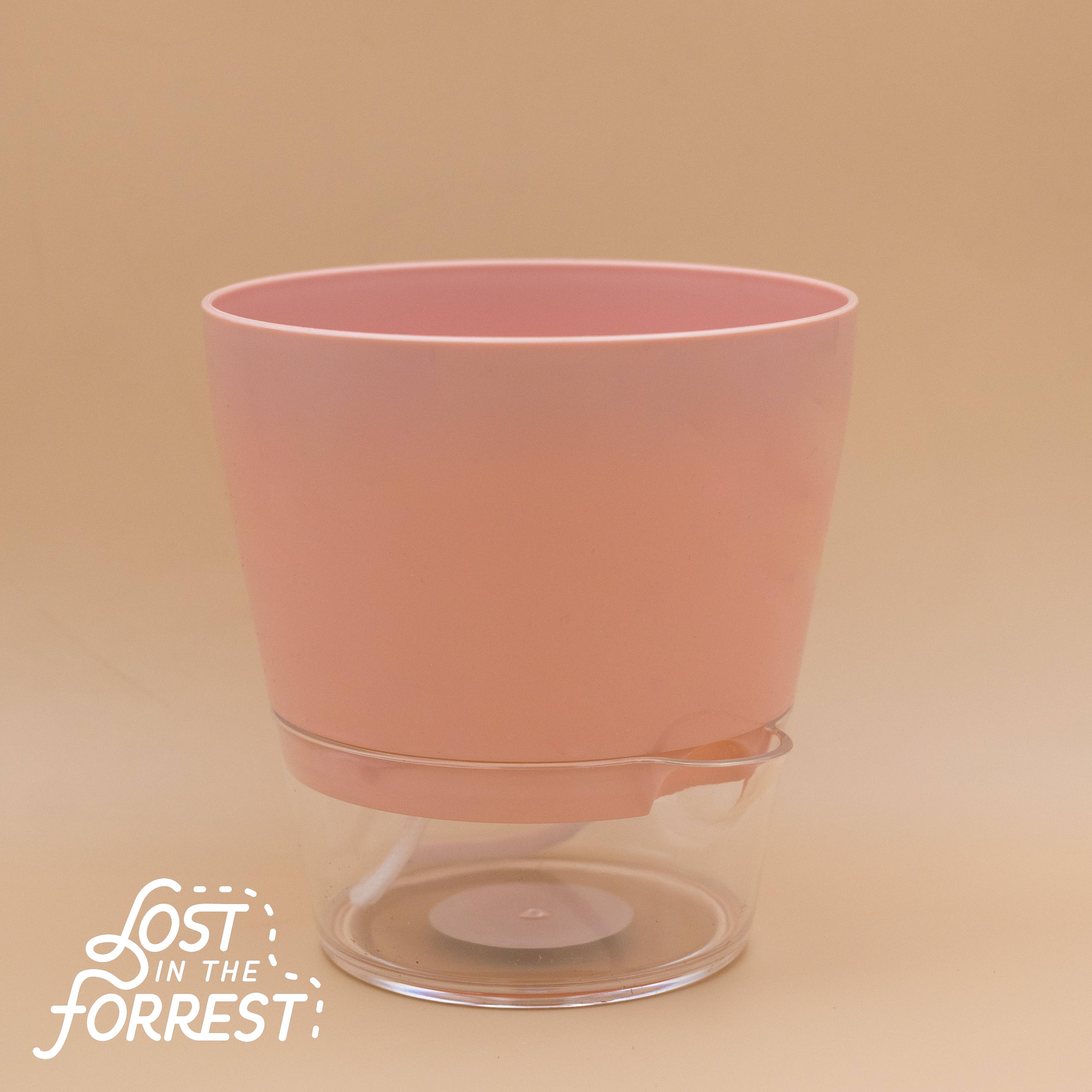 Lost in the Forrest - Vendita all'ingrosso Vasi per piante - Fioriera autoirrigante Padua 6"0