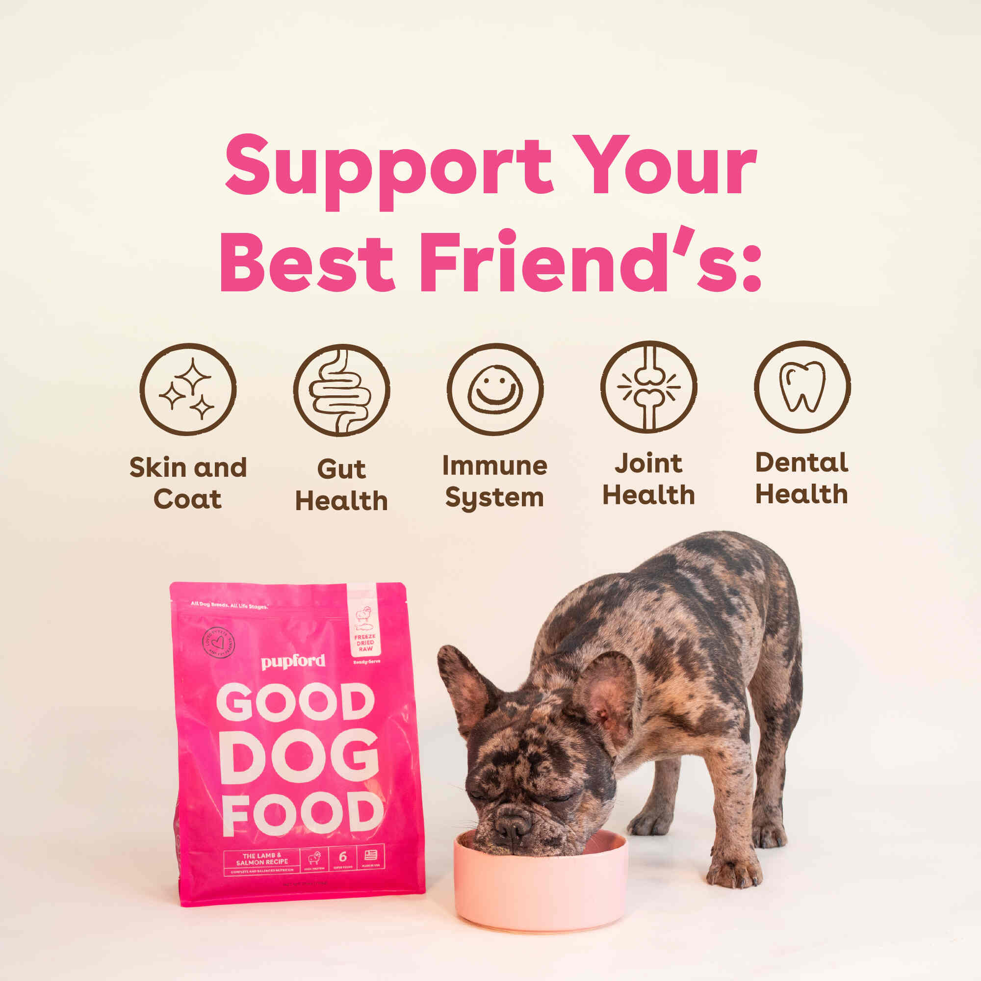 Pupford - Wholesale Pet Food - Dog - Freeze-Dried Raw Dog Food - Salmon & Lamb Recipe3