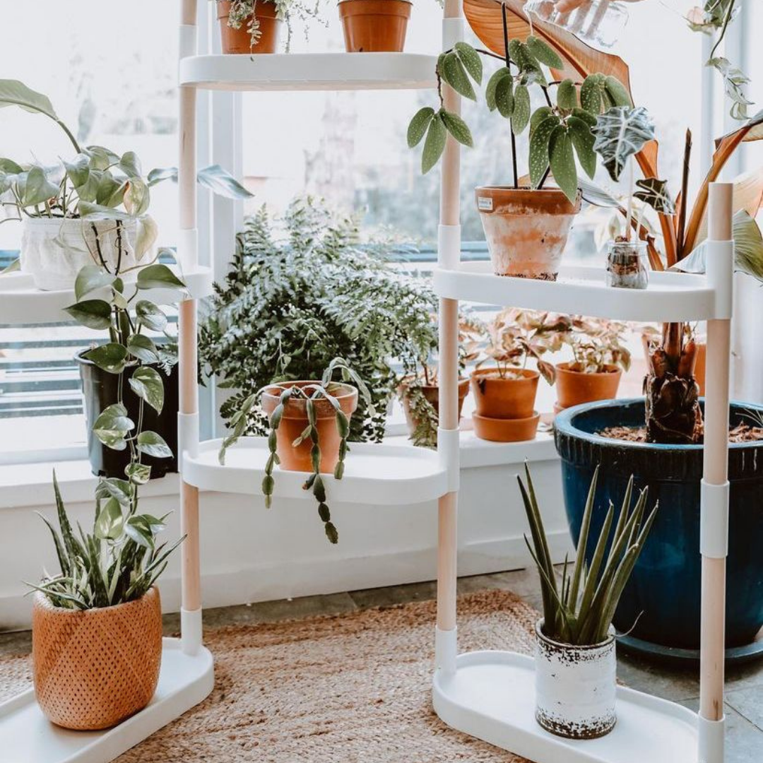 CitySens - Vendita all'ingrosso Mensole da parete - Scaffali modulari per piante CitySens4