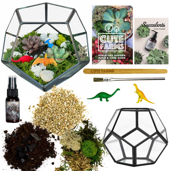 Cute Farms - Wholesale DIY Craft Kit - Geometric Glass Terrarium Kit