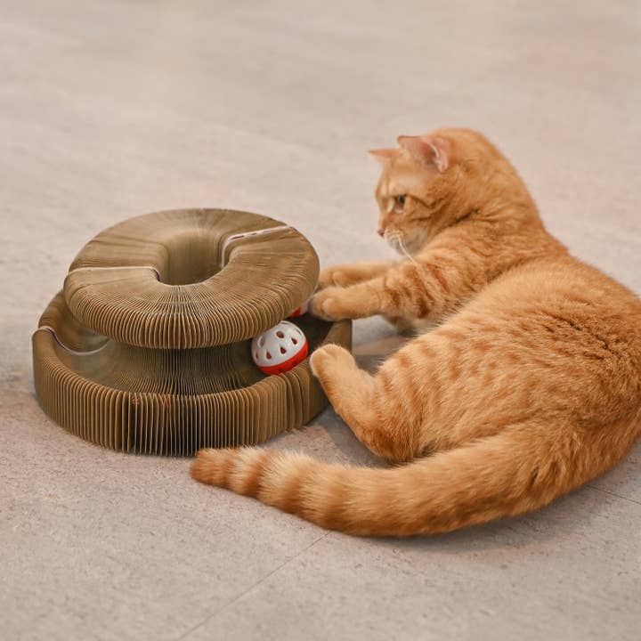 Olchi - Wholesale Pet Toy - Cat - WIGGLEE MAGIC BALL TRACK (CAYA-TO9521)