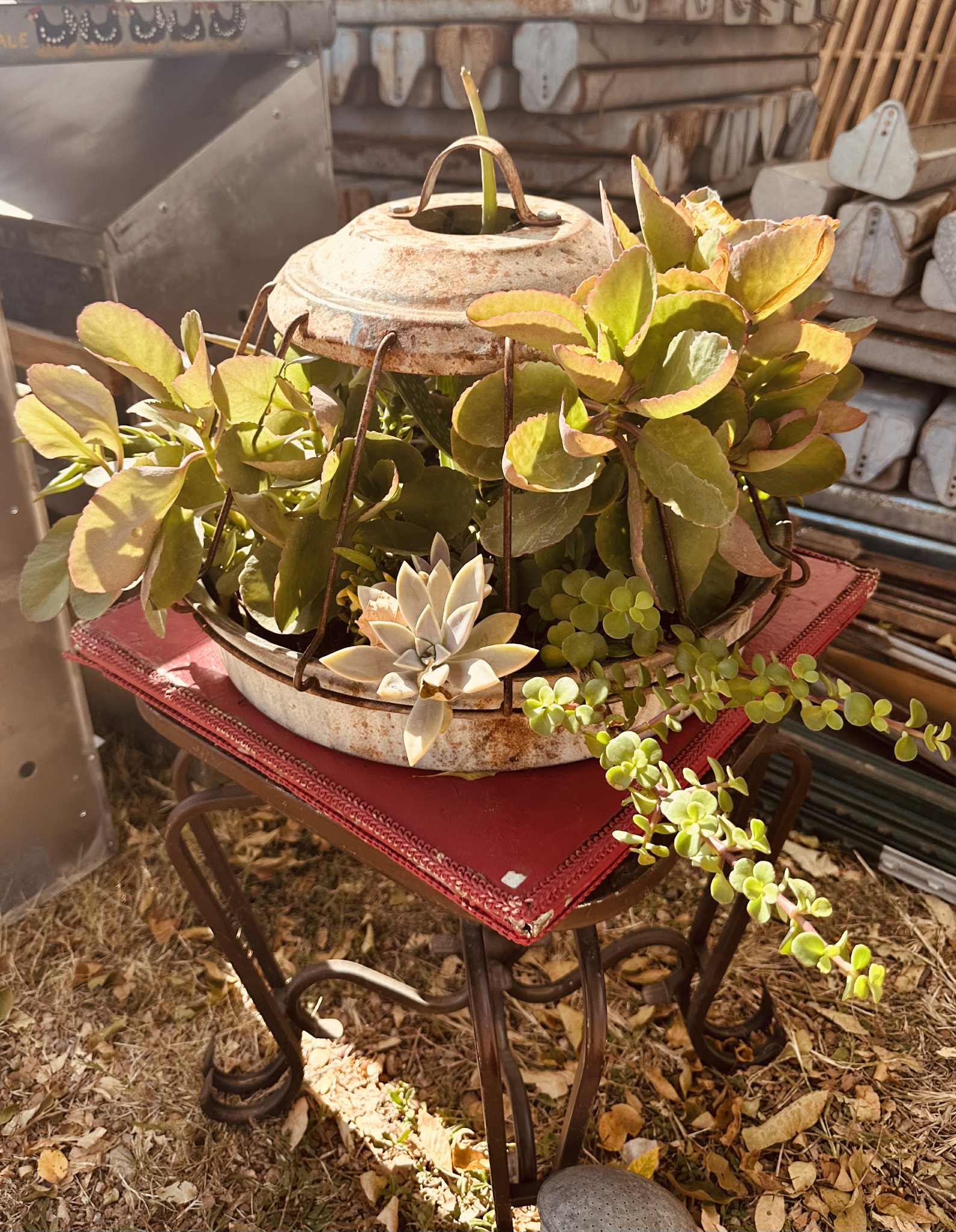 My Amigos Imports - Wholesale Decorative Plate/Dish/Bowl - Vintage Metal Chicken Feeders-Storage-Display-Rustic-Antique8