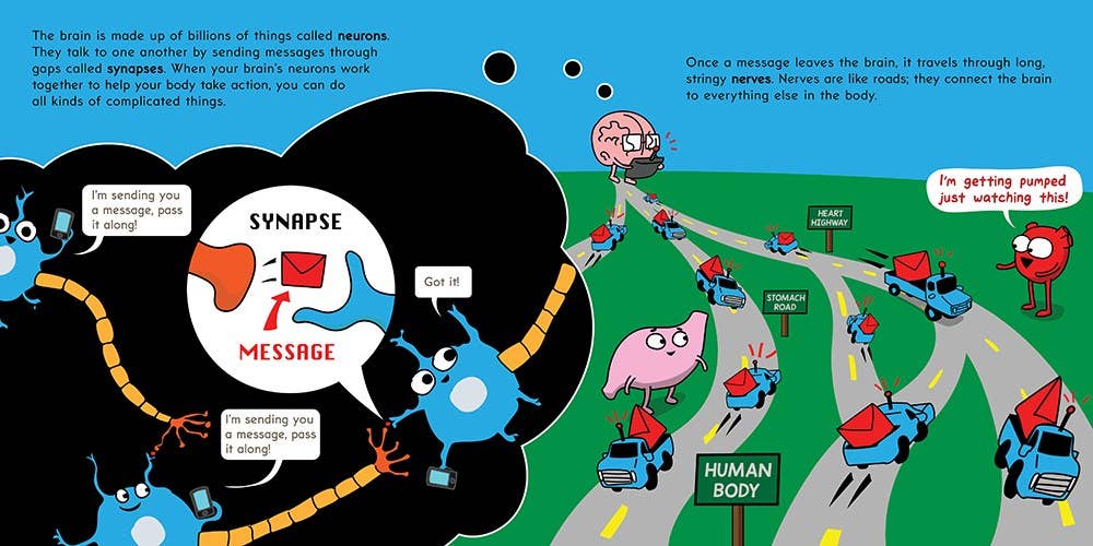 Scholastic - Wholesale Preschool Book (3-5) - The Brain Is Kind Of A Big Deal1