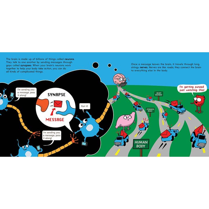 Scholastic - Wholesale Preschool Book (3-5) - The Brain Is Kind Of A Big Deal1