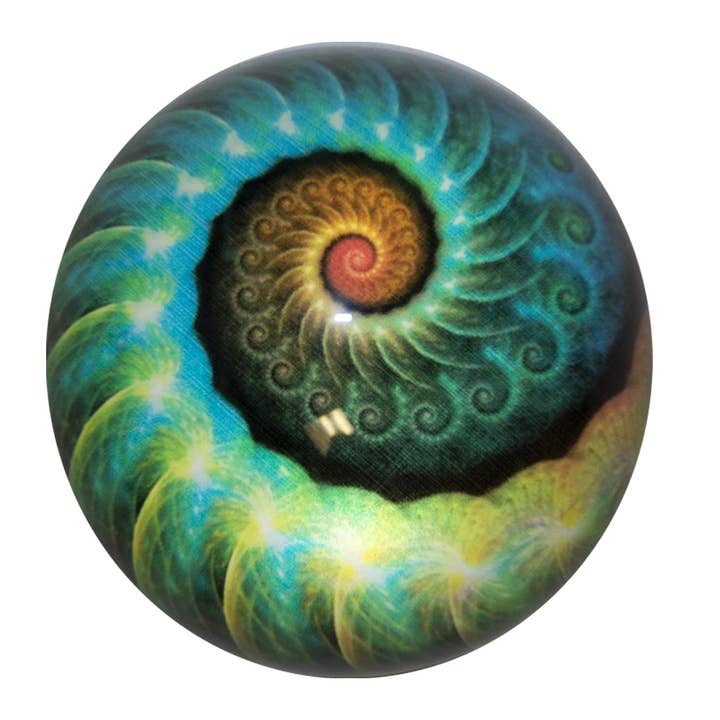 World Buyers - Wholesale Paper Weight - Nautilus Art Glass Paperweight - KA225