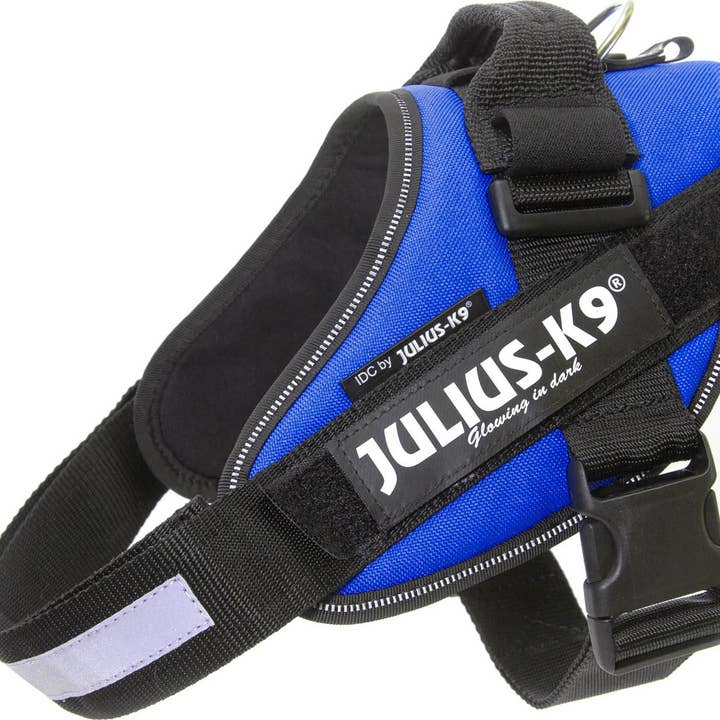 IDC POWER BLUE for wholesale by K9 Shop