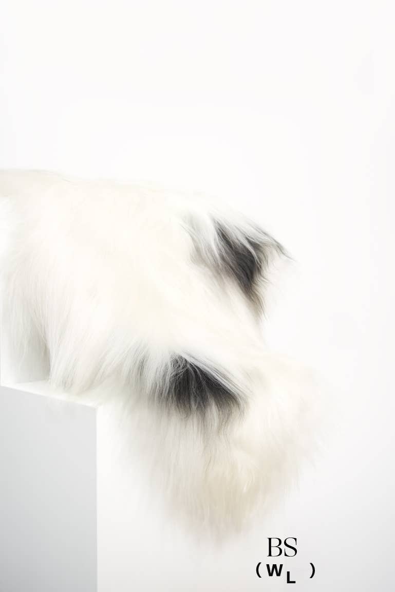 Black Sheep (White Light) - Wholesale Area Rug - Spotted Icelandic Sheepskin Throw Rug | Minimal5
