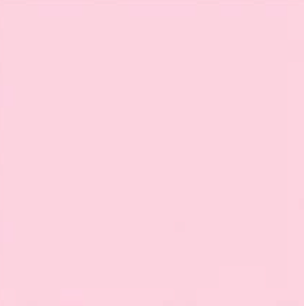 Mardi Gras Creations - Wholesale T-Shirt - Unisex - T-Shirt - Alstyle (Small - X-Large)4