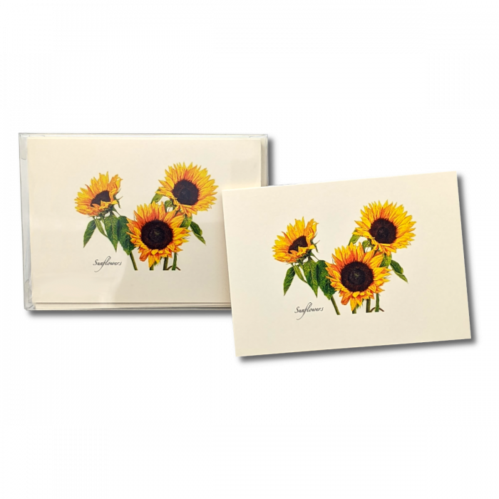 Earth Sky + Water - Wholesale Stationery/Notecard Set - 3 Sunflowers Notecard Set2